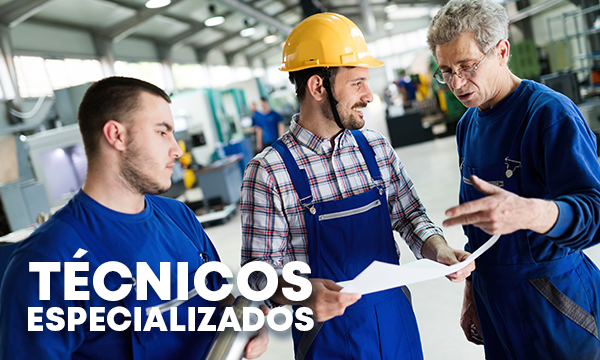 Técnicos especializados de EHSI